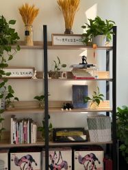 -一伽瑜伽·普拉提