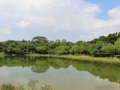 -东莞植物园