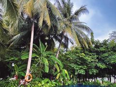 -三亚湾海居铂尔曼度假酒店