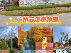 -云溪植物园
