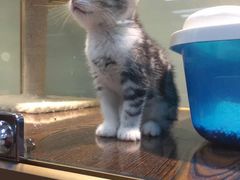 -乐宠宠物店(世纪金源店)