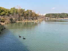 -昆山城市生态森林公园