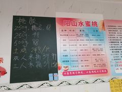 -老袁家蜜桃农场·阳山水蜜桃