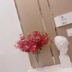 -KINI绮丽·美学肌SPA进口仪器专业店