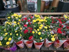 -秦美花卉(天朗·莱茵小城2期店)