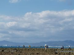 -三亚西岛海洋文化旅游区