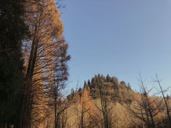 -山王坪喀斯特国家生态公园