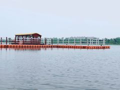 -绿堤公园