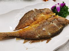 香煎黄花鱼-三辣馆