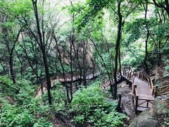 -大岭沟猕猴桃谷风景区