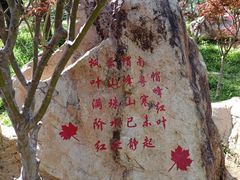 -广州市帽峰山景区