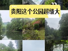 -阿哈湖国家湿地公园