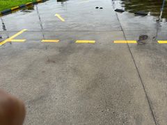 -上海江杨农产品批发市场蔬菜交易二区