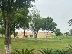 -盘龙城国家考古遗址公园