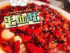 -初蓉丨遇见新川菜(亲贤街荣耀店)