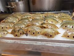 -味餐厅·海鲜·火锅·自助餐