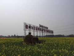 -桤木河湿地公园