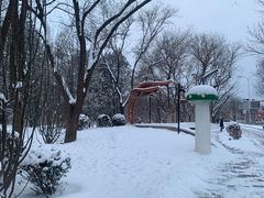 -元大都城垣遗址公园