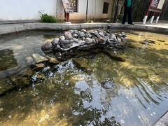 -红螺寺