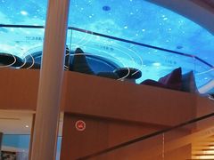 -浦乐汇·汤泉水世界