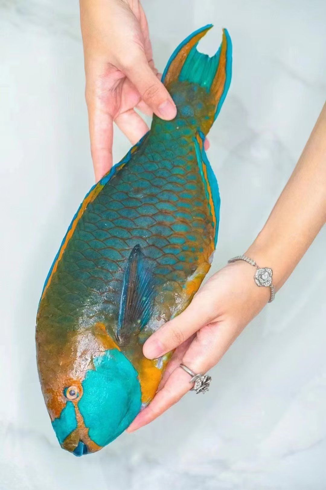 环保的声音 
阐释好中国(海南)深海鱼特色
海南