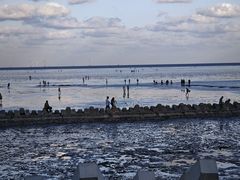 -南汇新城海滩