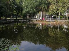 -垂虹公园