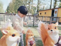 -前小桔亲子创意农场·草莓采摘·露营烧烤