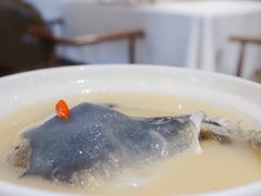 养颜白汁河豚-肆月河豚·新淮扬(金融街店)