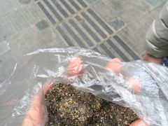 -叶氏麻糍(鼓浪屿店)
