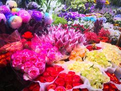 -朝来春花卉市场