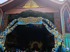 -西双版纳原始森林公园