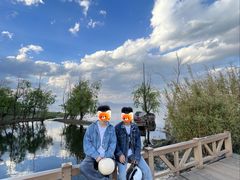 -洱海月湿地公园
