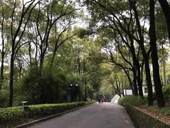 -石峰公园