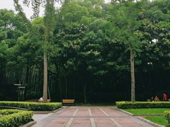 -苏州河梦清园环保主题公园