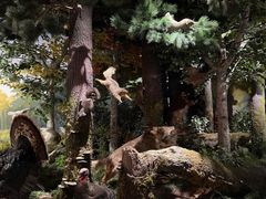 -陕西自然博物馆