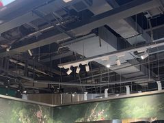 -淡马茶坊(深圳宝安壹方城店)