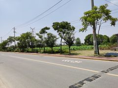 -梁鸿国家湿地公园