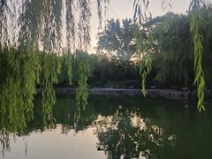 -团结湖公园