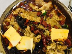 -西安外国语大学-学生食堂(栾树大道店)