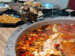 -销魂美蛙鱼头火锅(上海首店)