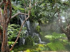 -Chom Cafe and Restaurant