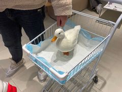 -怪兽屋·羊驼·猫咖·狗咖(俊华广场店)