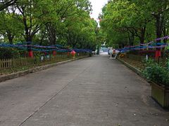 -上海都市菜园