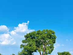 -良渚古城遗址公园