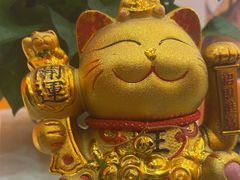 -泰古龙拨筋·spa按摩(成都环球汇店)