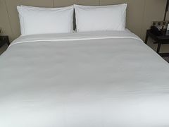 -长沙尼依格罗酒店
