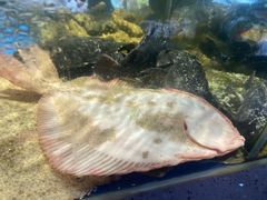 -小螺号海鲜·地道鲁菜(省体总店)