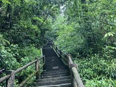-峨眉山风景名胜区
