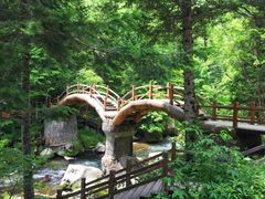 -望天鹅景区